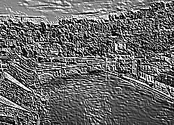 Skamielina