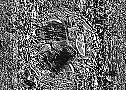 Skamielina
