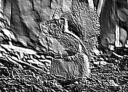Skamielina