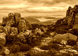 Sepia
