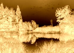 Sepia + Negatyw