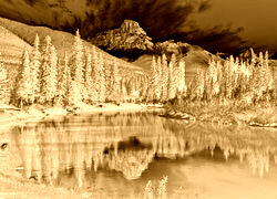 Sepia + Negatyw