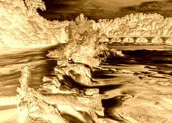 Sepia + Negatyw