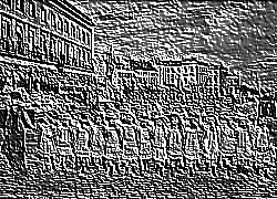 Skamielina