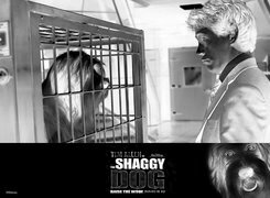 Szary + Negatyw