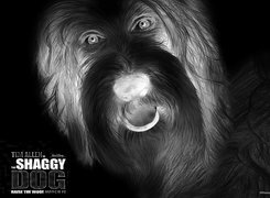 Szary + Negatyw
