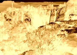 Sepia + Negatyw