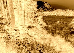 Sepia + Negatyw