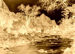 Sepia + Negatyw