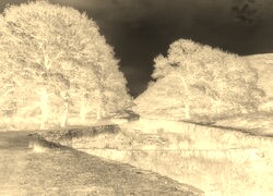 Sepia + Negatyw