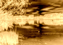 Sepia + Negatyw