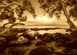 Sepia