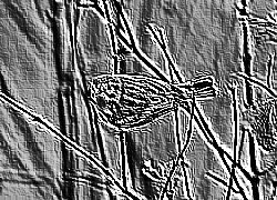 Skamielina