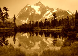 Sepia