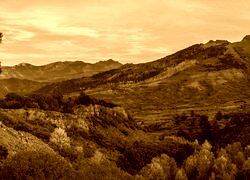 Sepia