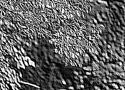 Skamielina