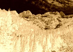 Sepia + Negatyw