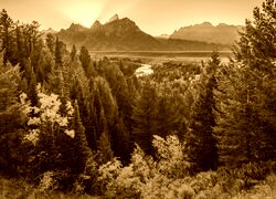 Sepia