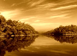 Sepia