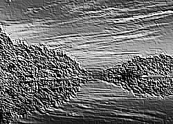 Skamielina