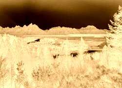 Sepia + Negatyw