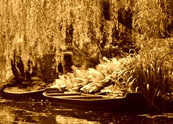 Sepia