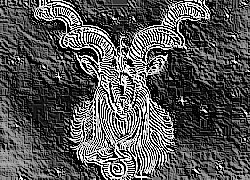 Skamielina