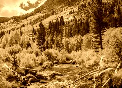 Sepia