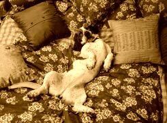 Sepia