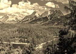 Szary + Sepia