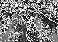 Skamielina
