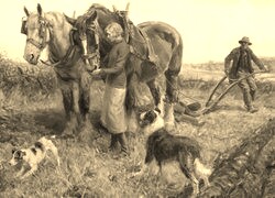 Szary + Sepia