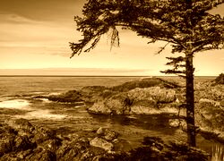 Sepia
