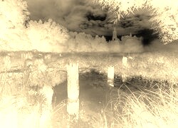 Sepia + Negatyw