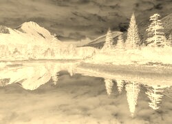 Sepia + Negatyw