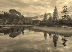 Szary + Sepia