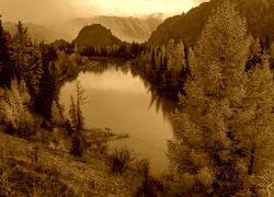 Sepia