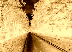 Sepia + Negatyw