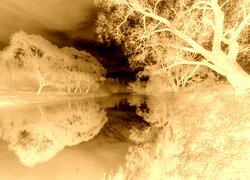 Sepia + Negatyw