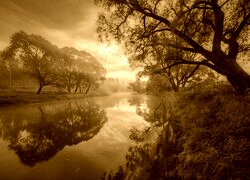 Sepia