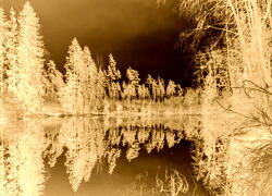 Sepia + Negatyw