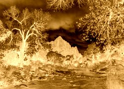 Sepia + Negatyw