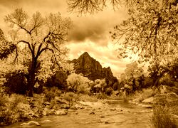 Sepia