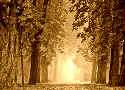 Sepia