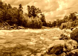 Sepia