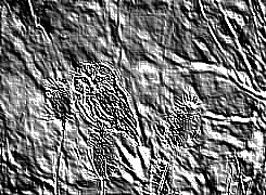 Skamielina