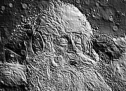 Skamielina