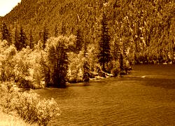 Sepia