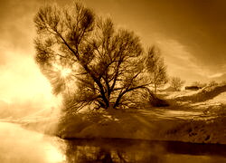Sepia