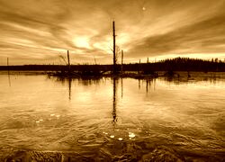 Sepia